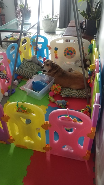 Ruby Playpen - 20191201