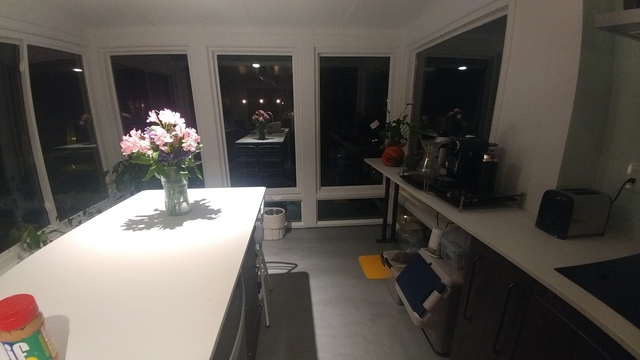 Kitchen Flowers - 20181203