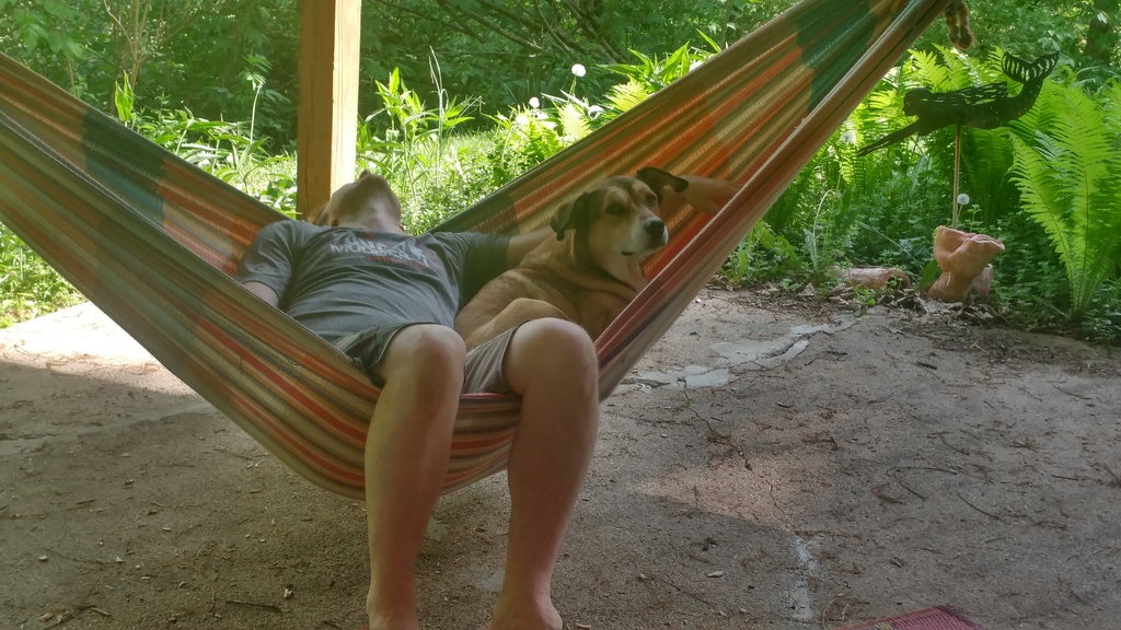 Sleepy Hammock - 20180512