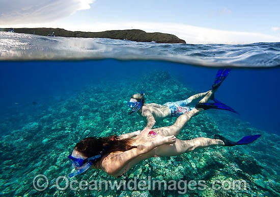 Snorkelling Tour