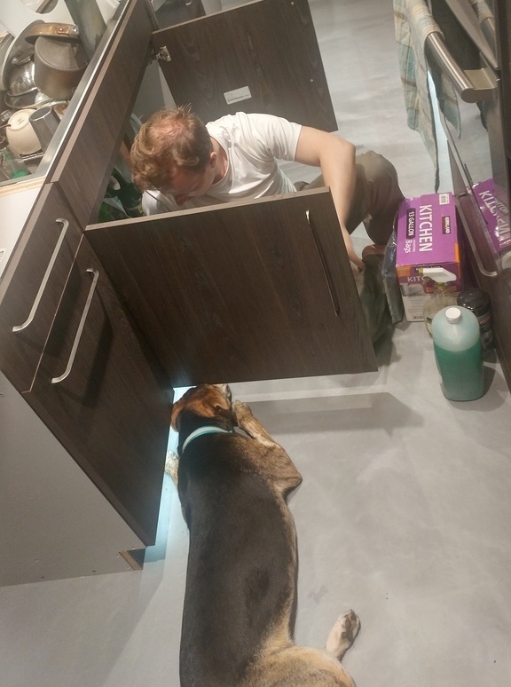 Sean Shade Sink Install - 20180820