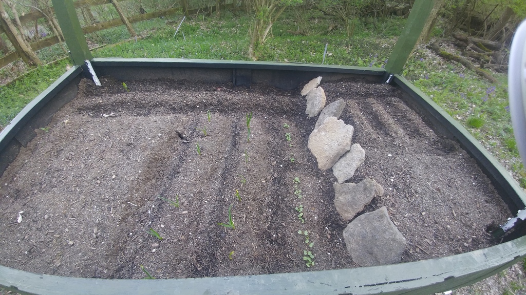 Raised Garden Bed 20180417