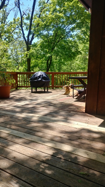 Ruby Shade Deck - 20190506